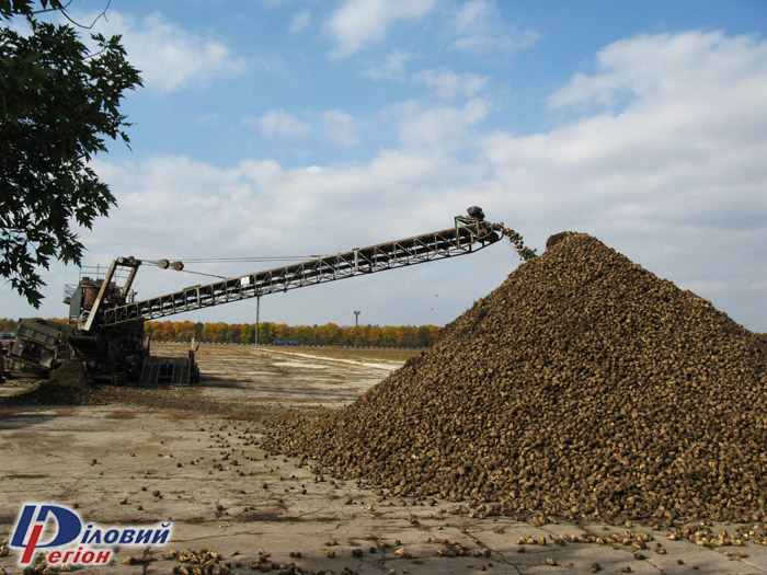 <b>Цього року на Черкащині цукор вироблятимуть лише два заводи </b>