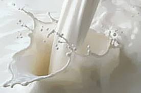 Производство молока в Черкасской области  увеличилось на 7 %