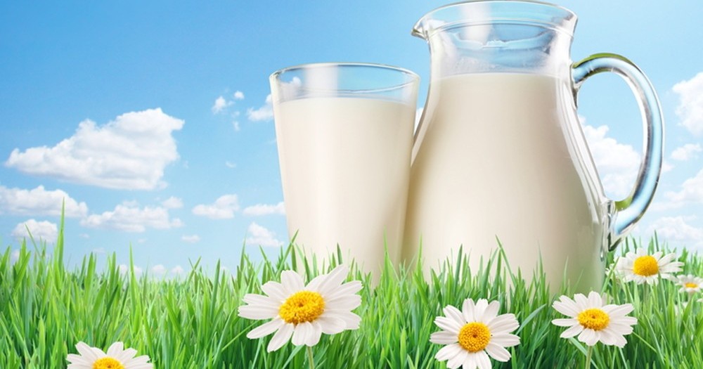 Золотоніське молоко планують експортувати до ЄС