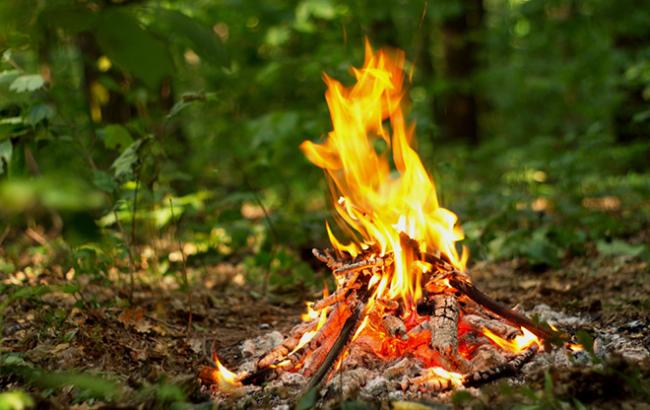 Через високий ризик пожеж черкащан просять обмежити візити до лісу