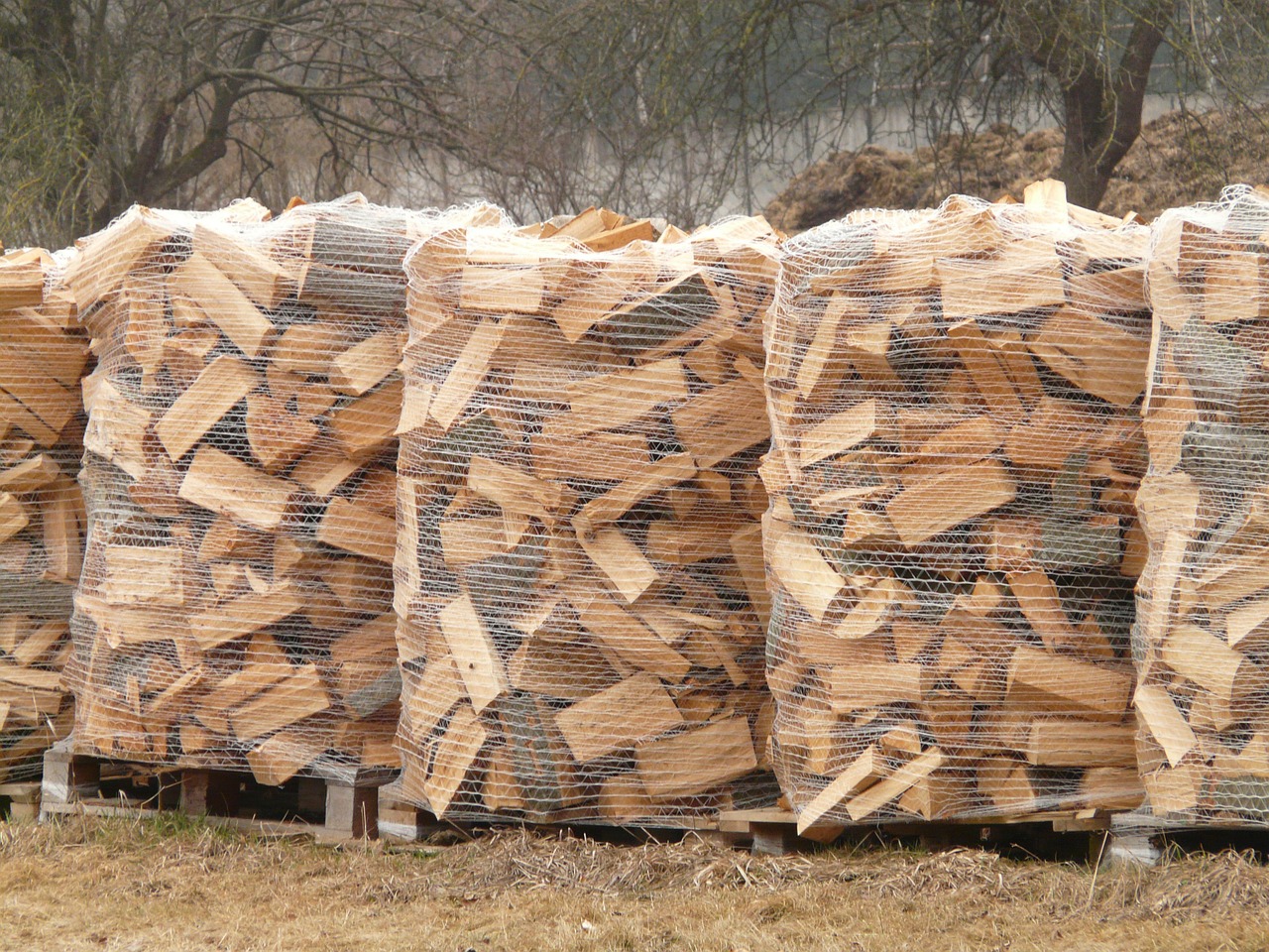 Лісгоспи Черкащини реалізовують дрова