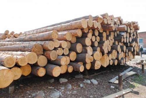 На аукціоні в Черкасах продано 96% виставленої деревини