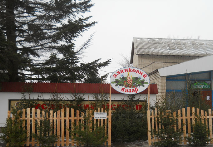 Ялинковий базар успішно працює у Лисянському лісгоспі