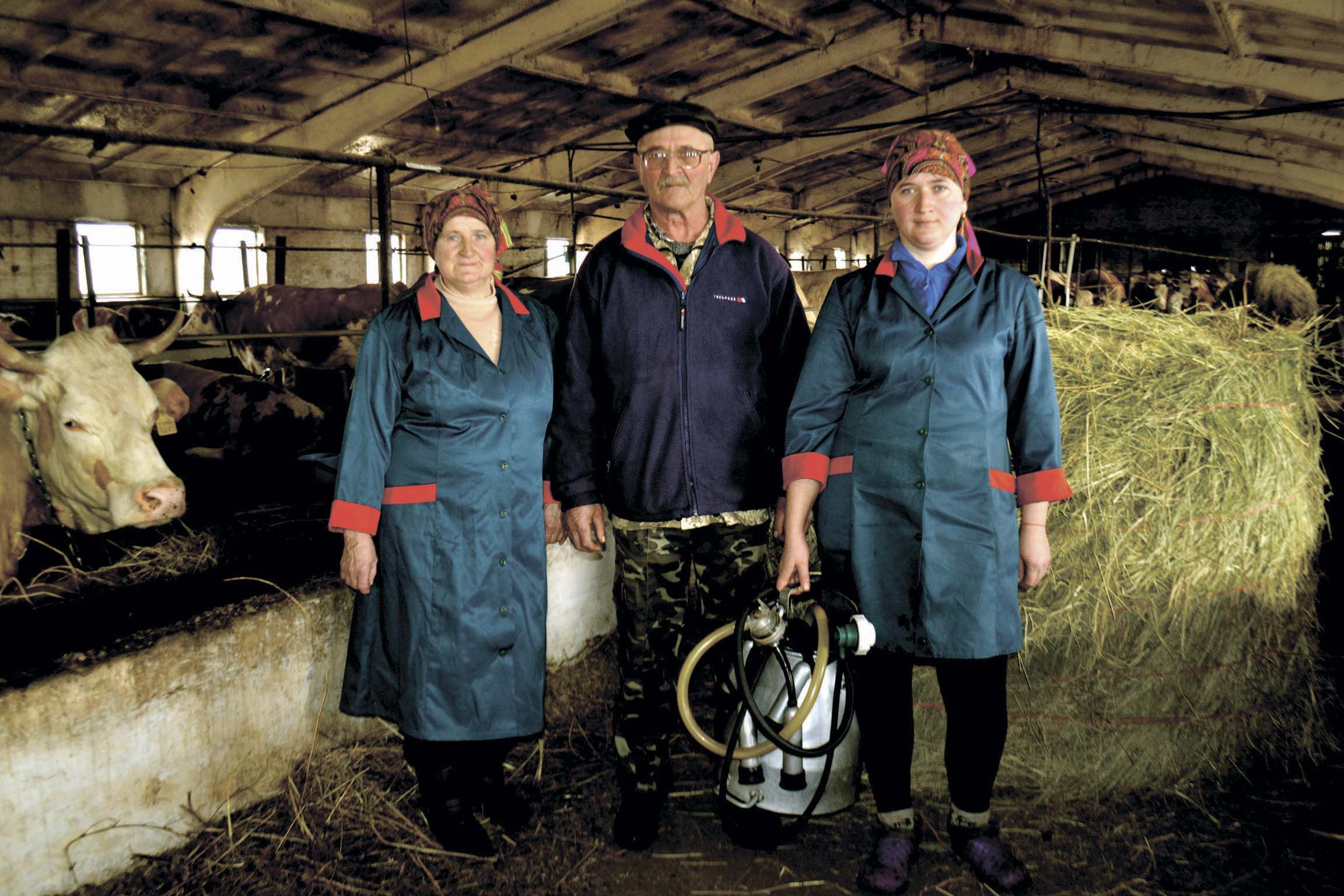 Ферма на Тальнівщині забезпечує європейську якість молока