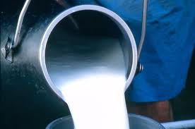 Третину молока для переробки черкаські виробники закуповують за межами області