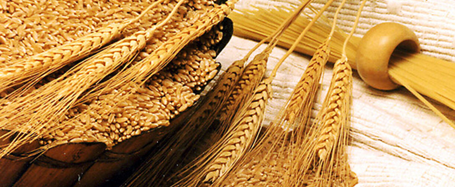 <b>Аграрії Черкащини намолотили 2 млн. тонн зерна </b>