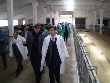Нову молочнотоварну ферму з надсучасним обладнання відкрито у Христинівському районі 