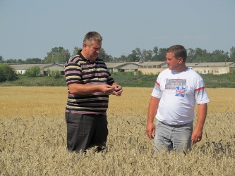 Завдяки науковим підходам ТОВ «Журавське» зібрало рекордні врожаї озимої пшениці